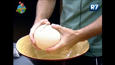 Resultado de imagem para omelete de ovo de avestruz