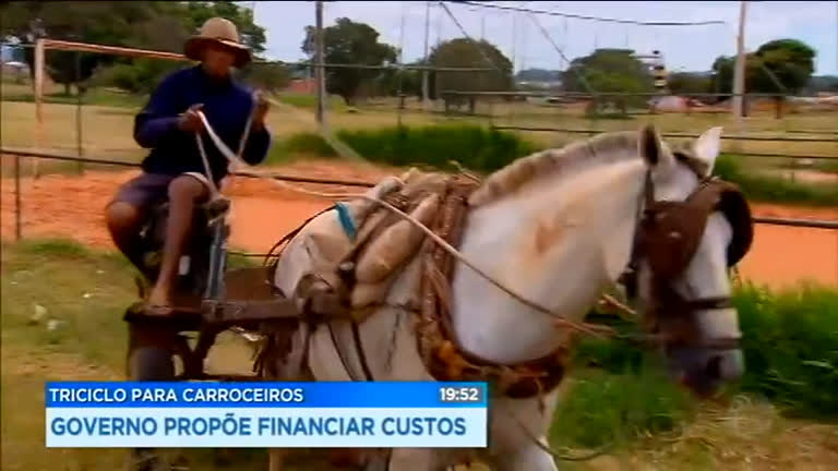 Vídeo: Governo propões uso de triciclo motorizado para substituir cavalos em carroças