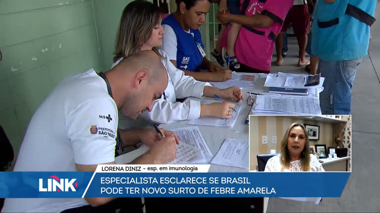 Vídeo: Brasil pode ter novo surto de febre amarela?
