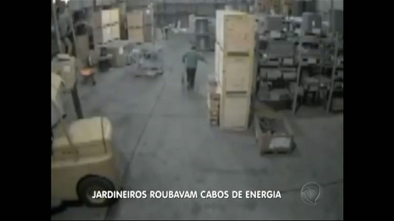 Vídeo: Flagra: funcionários de empresa de jardinagem furtam cabos de companhia elétrica no RS