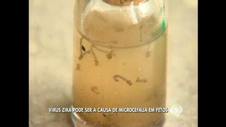 Vídeo: Vírus Zika pode ser a causa de microcefalia em fetos