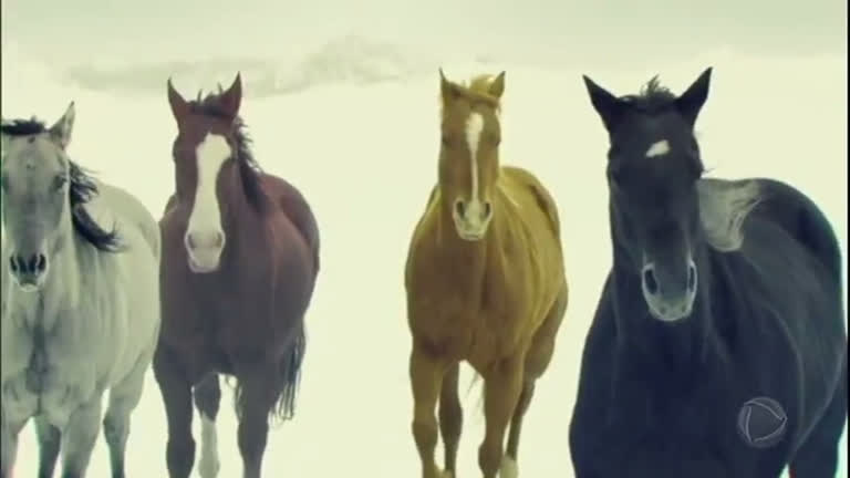 Resultado de imagem para imagens os quatro cavalos de apocalipse