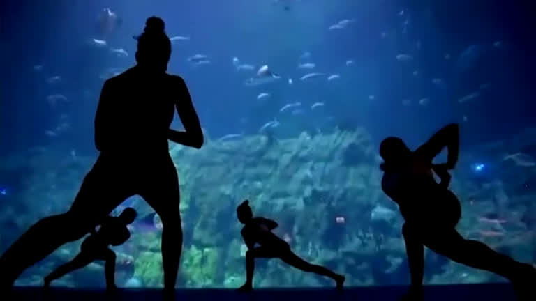 Vídeo: Amantes de ioga praticam em aquário de Hong Kong