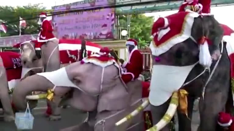Vídeo: Elefantes papais-noéis distribuem máscaras a estudantes na Tailândia