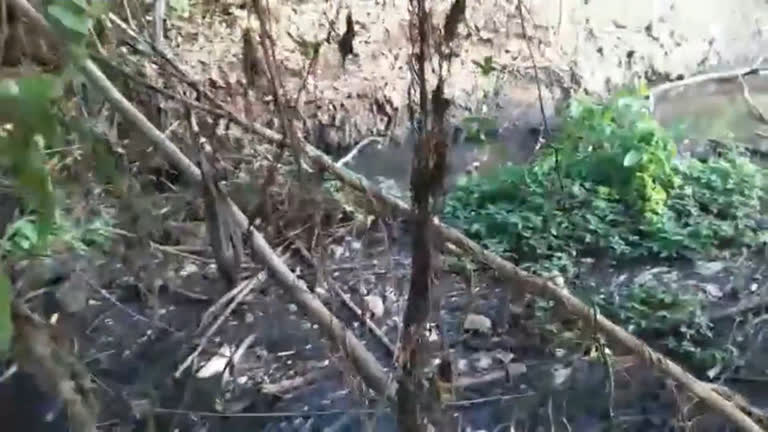 Vídeo: Moradores denunciam empresa por poluição em rio do Norte de Minas