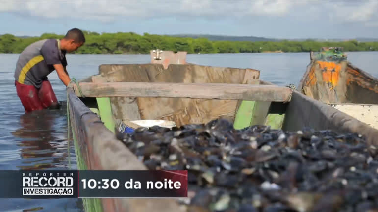Vídeo: Repórter Record Investigação mostra a jornada de quem depende da pesca de sururu