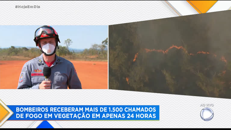 Vídeo: Bombeiros e brigadistas trabalham para conter incêndio em parque de Franco da Rocha (SP)