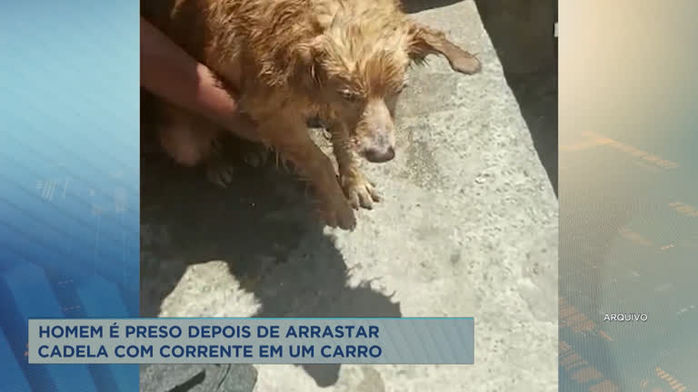Vídeo: Homem é preso depois de arrastar cadela com corrente de carro