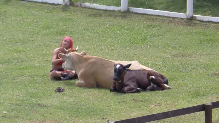 Em conversa com as vacas, Valentina critica Bil e Gui Araujo - A Fazenda 13  - A Fazenda 13 - R7 24 Horas