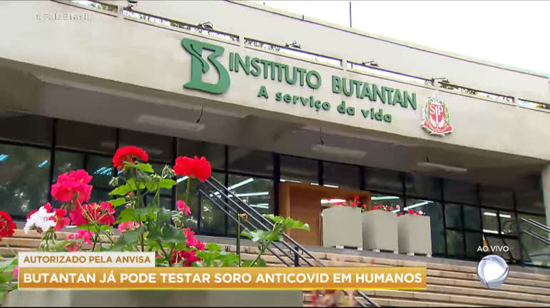 Vídeo: Anvisa autoriza Butantan a iniciar testes de soro anti-Covid em humanos