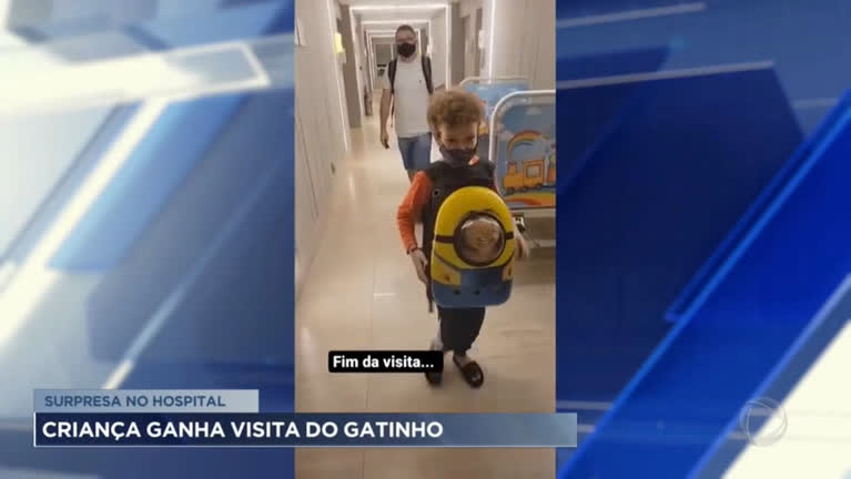 Vídeo: Criança recebe visita surpresa de gatinho no hospital
