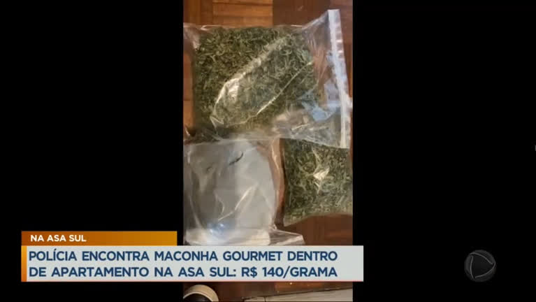 Vídeo: Polícia encontra plantação de maconha 'gourmet' em apartamento