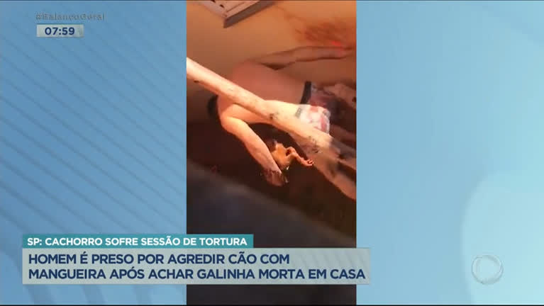 Vídeo: Homem é preso por agredir cão com mangueira após achar galinha morta