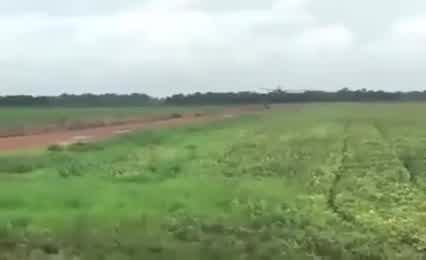 Vídeo: Avião agrícola cai durante decolagem em fazenda de TO