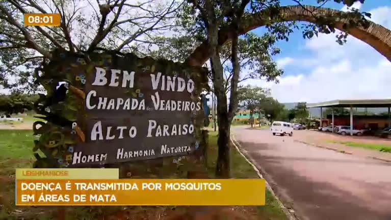 Vídeo: Secretaria de saúde de Alto Paraíso (GO) investiga casos de Leishmaniose na Chapada dos Veadeiros