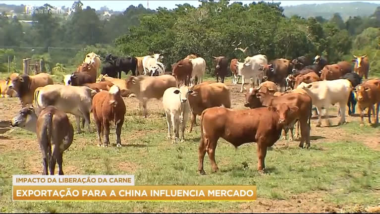 Vídeo: Brasil volta a exportar carne bovina para a China