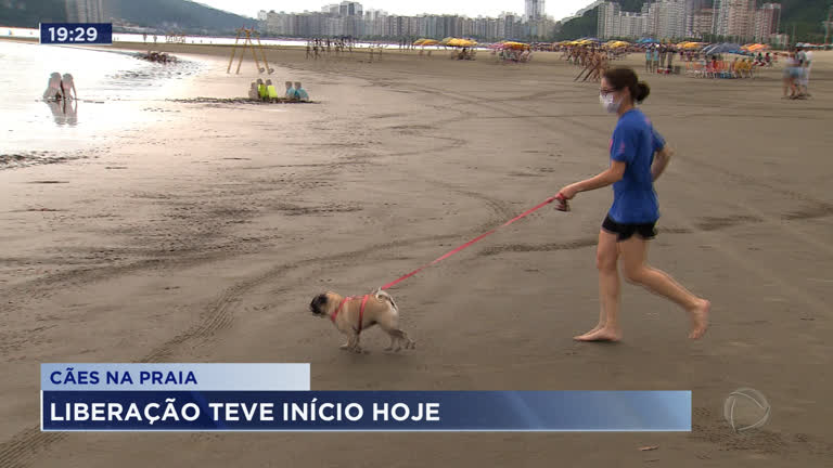 Vídeo: Liberação de cães na areia da praia em Santos