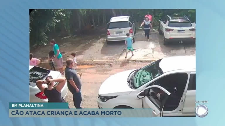 Vídeo: Cão é morto após atacar menino em Planaltina (DF)