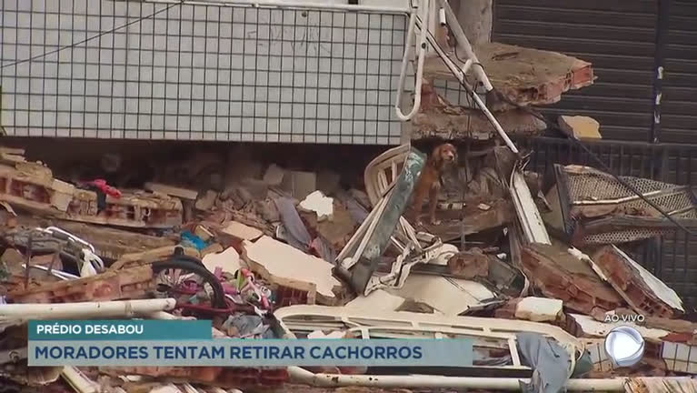 Vídeo: Moradores tentam retirar animais de prédio que desabou em Taguatinga