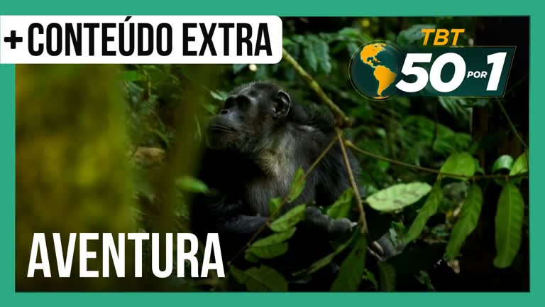 Vídeo: TBT 50 por 1 | Veja a maior aventura selvagem que Alvaro Garnero já viveu!