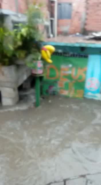 Vídeo: Temporal inunda córrego e ruas na comunidade de Paraisópolis