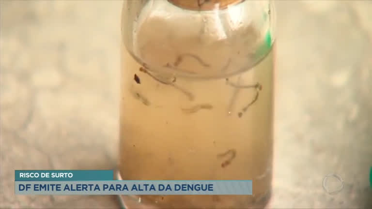 Vídeo: GDF emite alerta sobre risco de surto de dengue no Distrito Federal