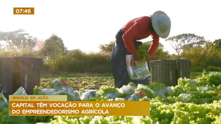 Vídeo: Brasília em Ação: DF tem vocação para o avanço do empreendedorismo agrícola