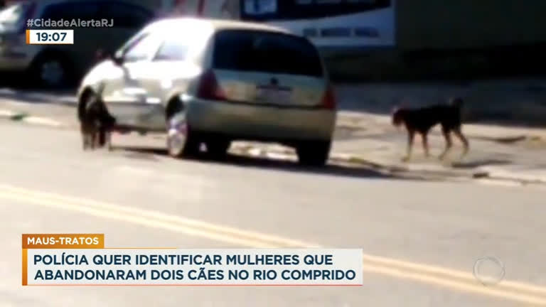 Vídeo: RJ: polícia investiga mulheres que abandonaram cães no Rio Comprido