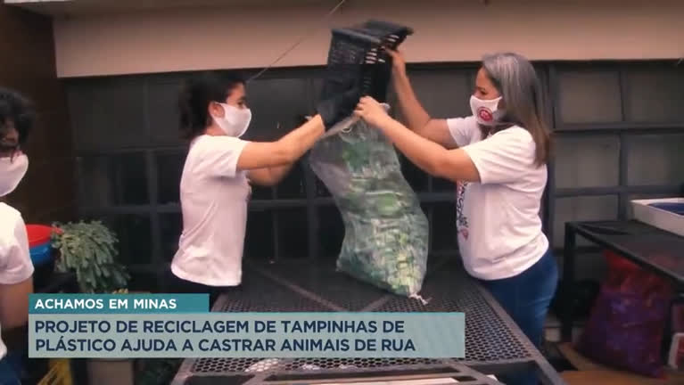 Vídeo: Achamos em Minas: Projeto ajuda animais de rua com reciclagem
