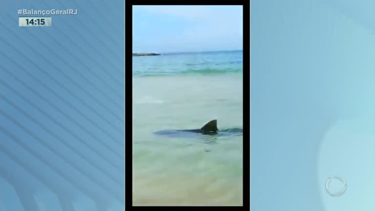 Vídeo: RJ: tubarão é avistado por banhistas em Saquarema