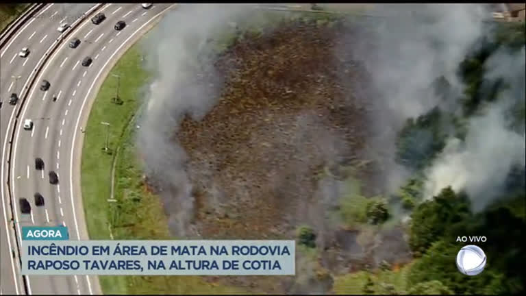 Vídeo: Incêndio em área de mata atrapalha motoristas na Rodovia Raposo Tavares