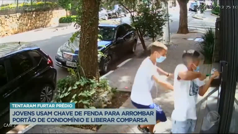 Vídeo: Jovens tentam invadir e furtar condomínio em bairro nobre de SP