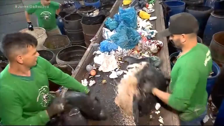 Vídeo: Mulher joga sem querer R$ 92 mil no lixo, e trabalhadores de usina de reciclagem devolvem tudo